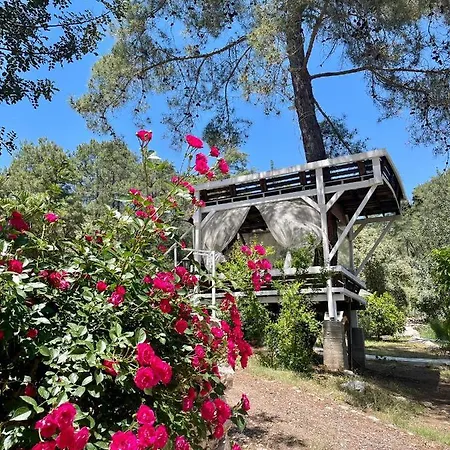 Angels Garden 3* Kumluca