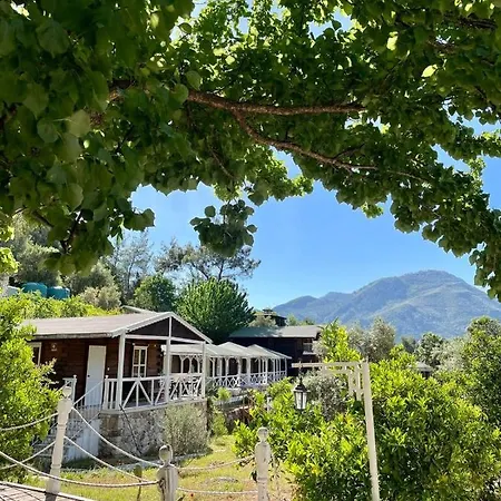 Angels Garden 3* Kumluca