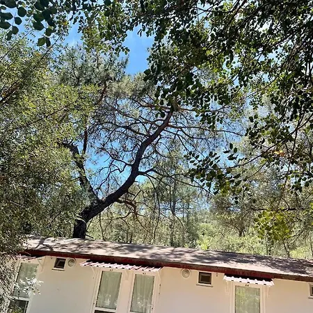 Angels Garden 3* Kumluca