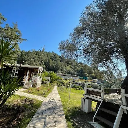 מלון Angels Garden