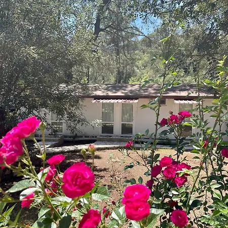 Angels Garden מלון