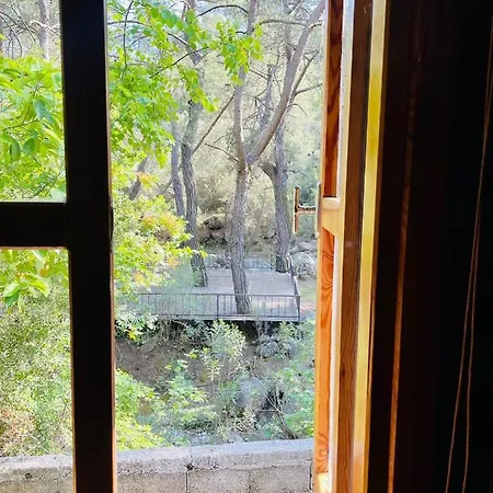 酒店 Angels Garden 3*