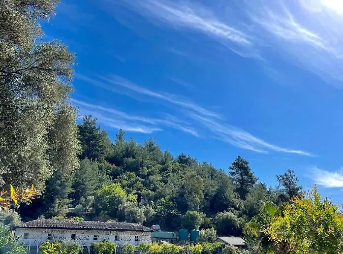 Angels Garden Ξενοδοχείο 3*