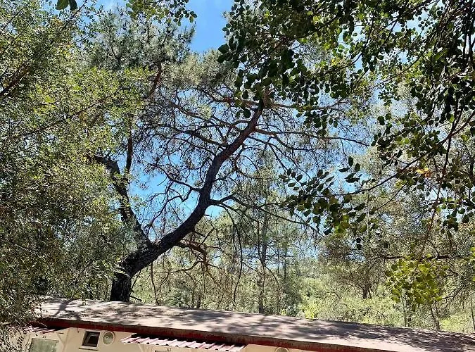 Angels Garden 3* Kumluca